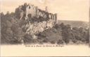 Anhée - "Vallée de la Meuse. Les Ruines de Montaigle" - Ruïnes van kasteel Montaigle in de Maasvallei