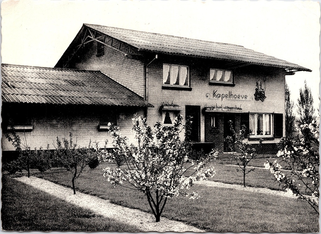 [F1811] Kasterlee - "Kapelhoeve" - Kapelhoeve op de Kievit, boerderijwoning