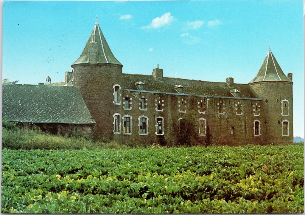 [F1819] Fontaine-l'Évêque - "Forchies-la-Marche - Le Château" - Kasteel van Forchies-la-Marche