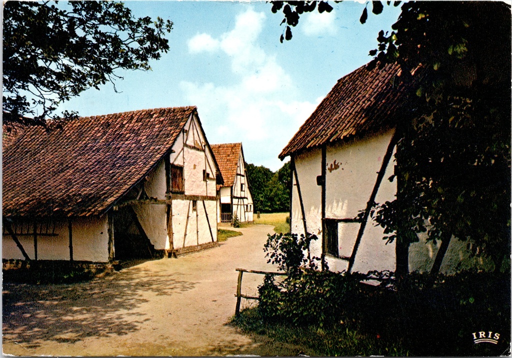 [F1829] Genk - "Contzenwinning uit Klein Hoeselt (16e-18e eeuw.)" - Vakwerkboerderij in Openluchtmuseum Bokrijk