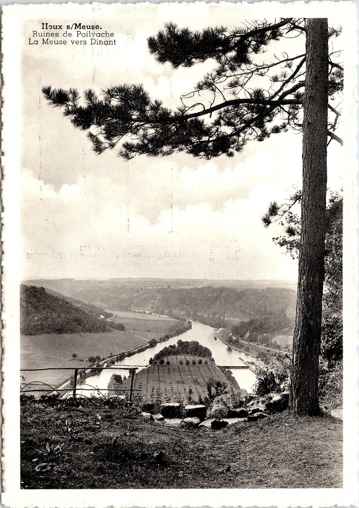 Yvoir - "Ruines de Poilvache" - Ruïnes van kasteel Poilvache met zicht op de Maas richting Dinant