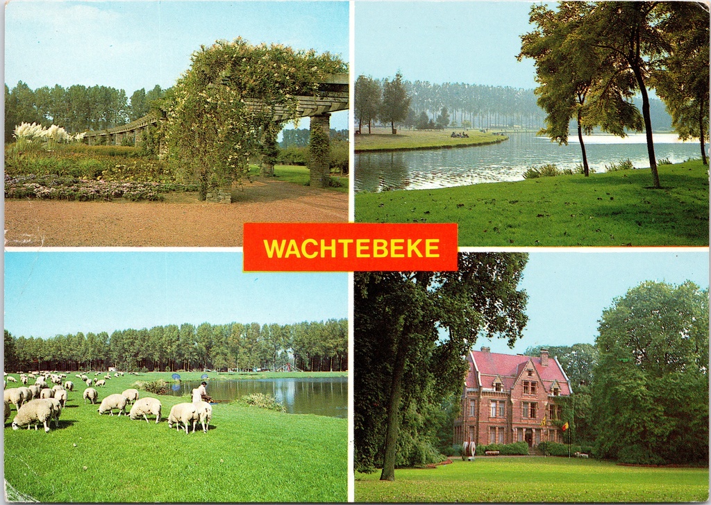 [F1877] Wachtebeke - "WACHTEBEKE" - Vierluik met Bloementuin, kanaal, schaapherder en Molenmuseum