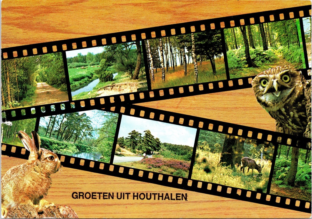 [F1891] Houthalen-Helchteren - "Groeten uit Houthalen" - Collagekaart met natuur, heide, bos en wildlife (haas, uil, hert)