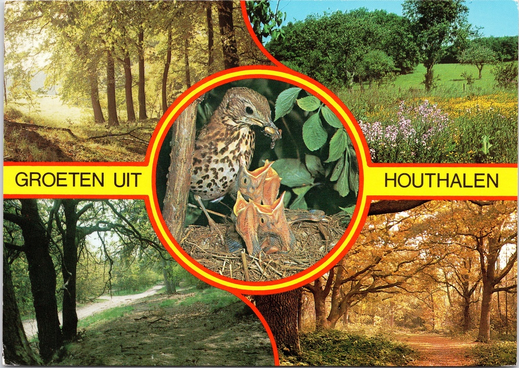 [F1893] Houthalen-Helchteren - "Groeten uit Houthalen" - Natuurlandschappen met bossen, bloemenweiden en vogelnest