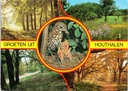 Houthalen-Helchteren - "Groeten uit Houthalen" - Natuurlandschappen met bossen, bloemenweiden en vogelnest