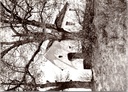 Dessel - "Kapel Heide" - Kapel in de heide omgeven door bomen