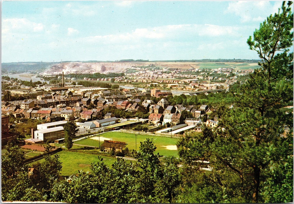 [F1917] Andenne - "Panorama" - Panoramisch stadsgezicht over de Maas