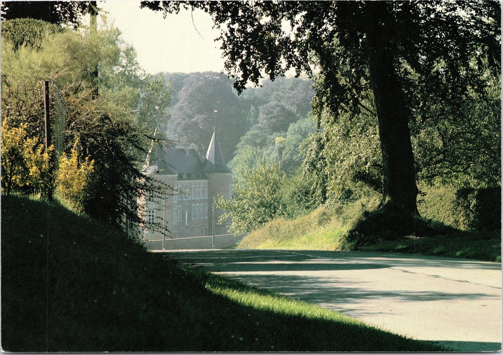 [F1931] Bilzen - "Landcommanderij ALDEN BIESEN" - Westzijde van het kasteel