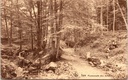 Spa - « Promenade des Artistes » - Sentier forestier à travers les Ardennes