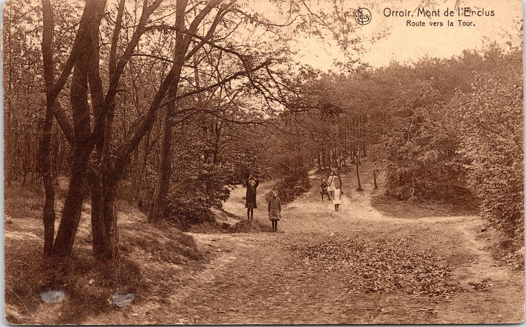 Kluisbergen - "Orroir. Mont de l'Enclus - Route vers la Tour" - Bosweg naar de toren op de Mont de l'Enclus