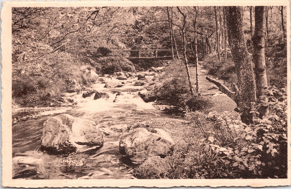 [G1795] Spa - "La Hoëgne Le Pont du Belvédère" - De Hoëgne rivier bij de Belvedère brug