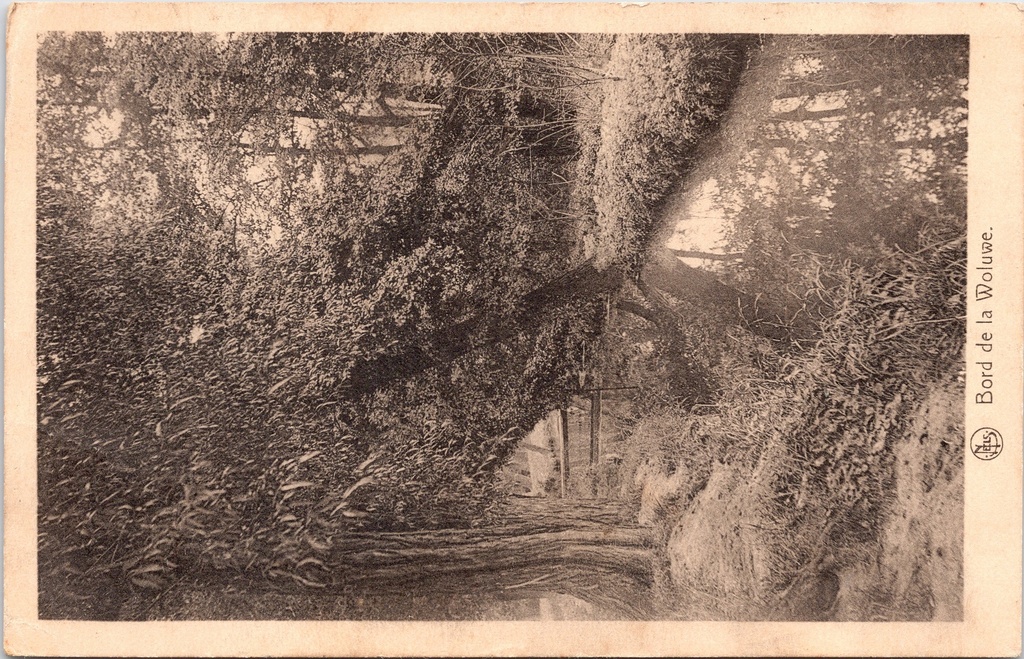 [G1813] Woluwe - "Bord de la Woluwe" - Oever van de Woluwe