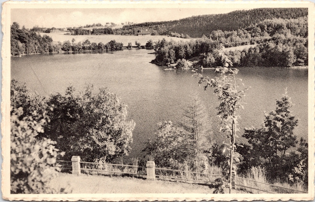 [G1847] Waimes - "Un coin pittoresque du Lac de Robertville" - Schilderachtig hoekje van het Meer van Robertville