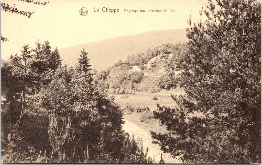 Baelen - « La Gileppe - Paysage aux environs du lac » - Paysage près du lac de La Gileppe