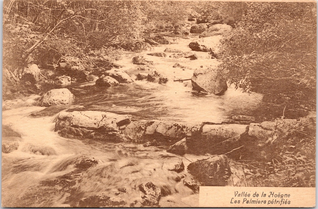 Jalhay – “Vallée de la Hoëgne – Les Palmiers pétrifiés” – Petrified palms in the Hoëgne valley