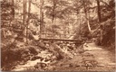 Spa - « Promenade des Artistes » - Sentier forestier avec un pont enjambant un ruisseau rocheux