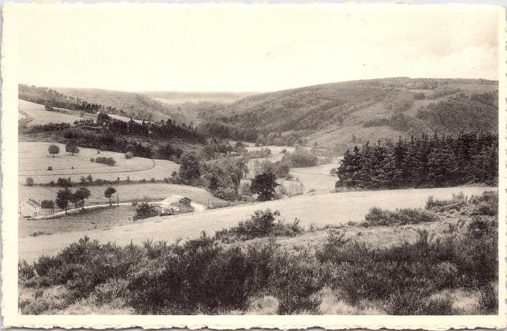 [H2009] Lierneux - « Vallée de Groumont vers la Baraque Fraiture » - Vue sur la vallée de Groumont en direction de la Baraque Fraiture