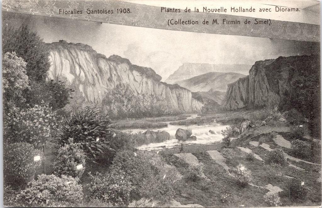 Gent - "Floralies Gantoises 1908" - Plantes de la Nouvelle Hollande met diorama, collectie Firmin de Smet