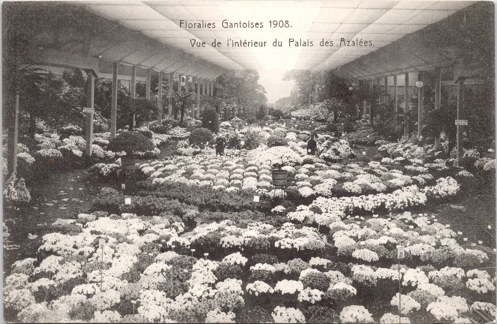 Gand - « Floralies Gantoises 1908 - Vue de l'intérieur du Palais des Azalées » - Intérieur du Palais des Azalées lors des Floralies de Gand en 1908