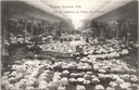 Gand - « Floralies Gantoises 1908 - Vue de l'intérieur du Palais des Azalées » - Intérieur du Palais des Azalées lors des Floralies de Gand en 1908