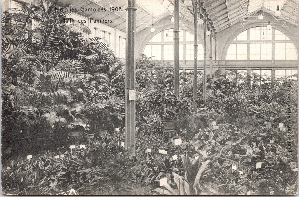 Gand - « Floralies Gantoises 1908 - Hall des Palmiers » - Floralies de Gand 1908, Salle des Palmiers