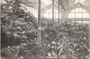 Ghent – “Floralies Gantoises 1908 – Hall des Palmiers” – Ghent Floralies 1908, Palm Hall