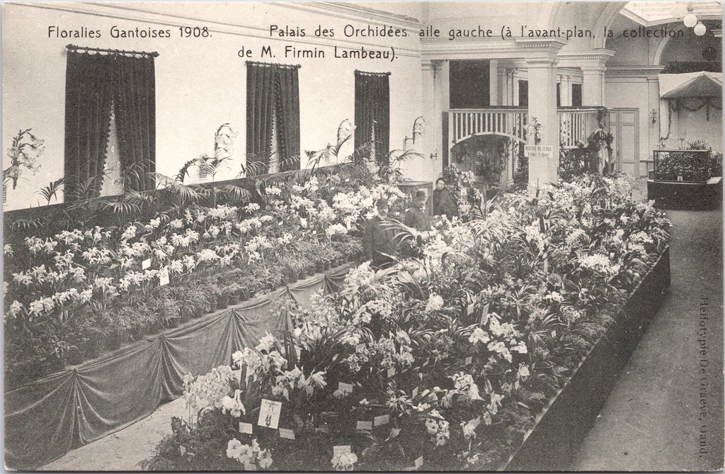 Gand - « Floralies Gantoises 1908 — Palais des Orchidées » - Aile gauche du Palais des Orchidées avec la collection Firmin Lambeau