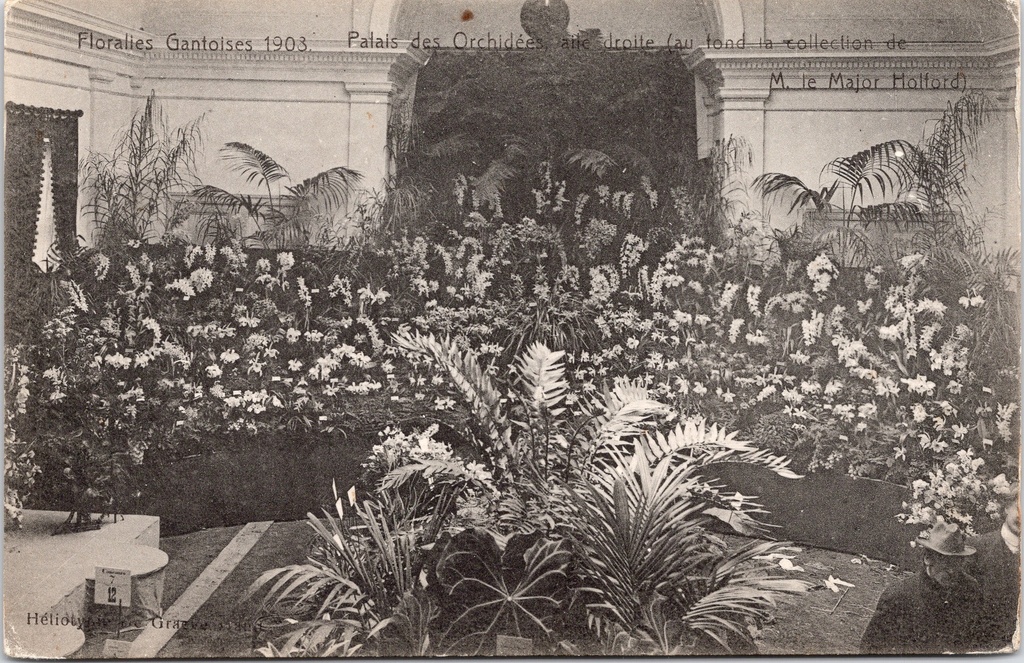 Gand - « Floralies Gantoises 1903 - Palais des Orchidées, aile droite » - Aile droite du Palais des Orchidées avec la collection du major Holford