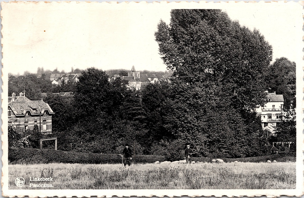 [I2461] Linkebeek - « Panorama » - Vue panoramique sur le village avec ses villas et son église
