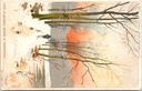Hoeilaart - « Forêt de Soignes – Étangs de Groenendael » - Étangs de Groenendael dans la Forêt de Soignes
