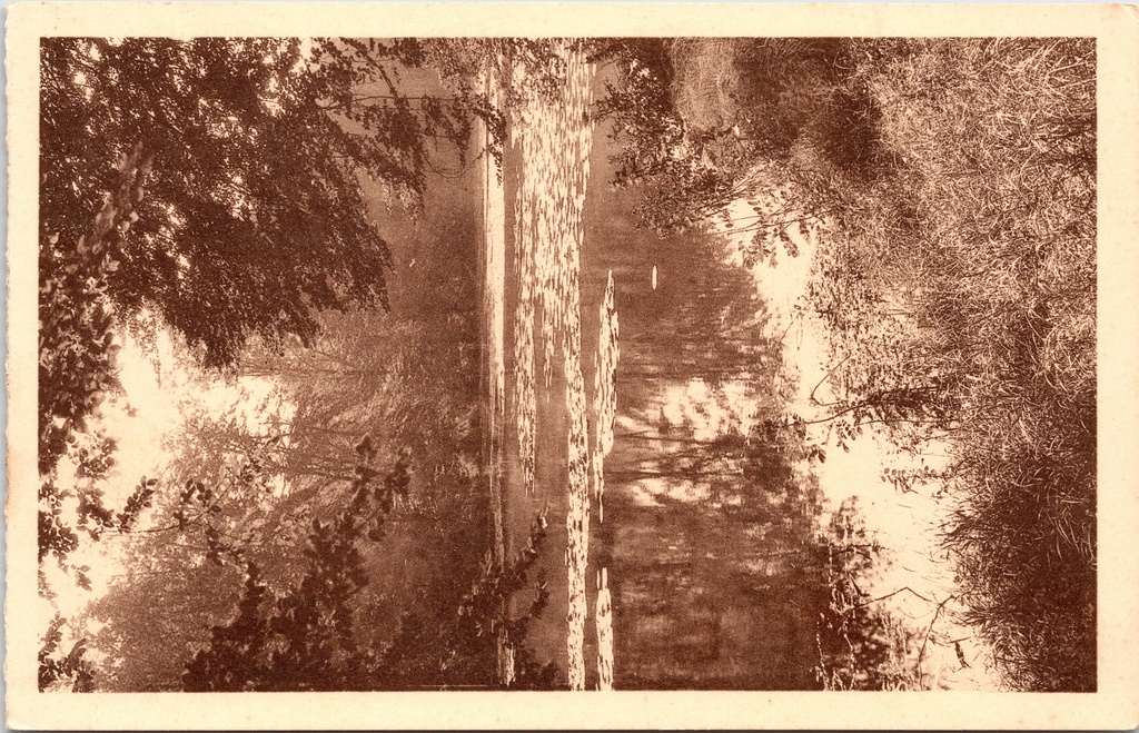 [I2561] Tervuren - « Tervueren - Le Parc » - Le parc avec son étang/canal