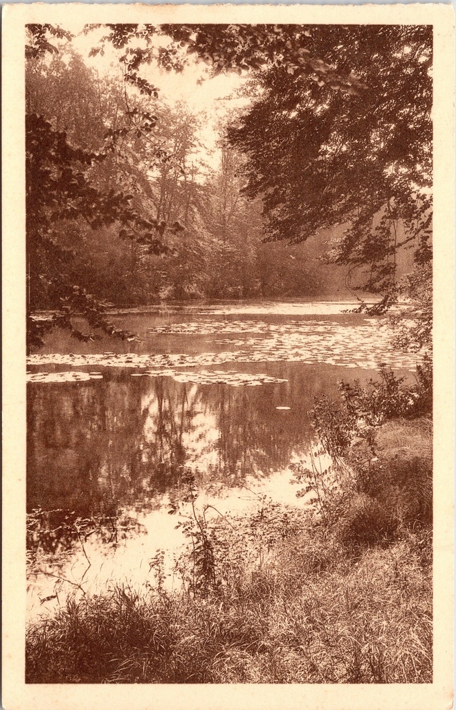 Tervuren - "Tervueren - Le Parc" - Het park met vijver/kanaal