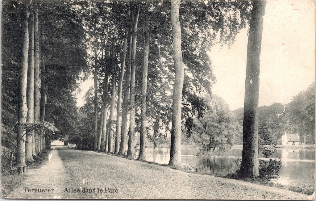 Tervuren - "Allée dans le Parc" - Laan in het park van Tervuren