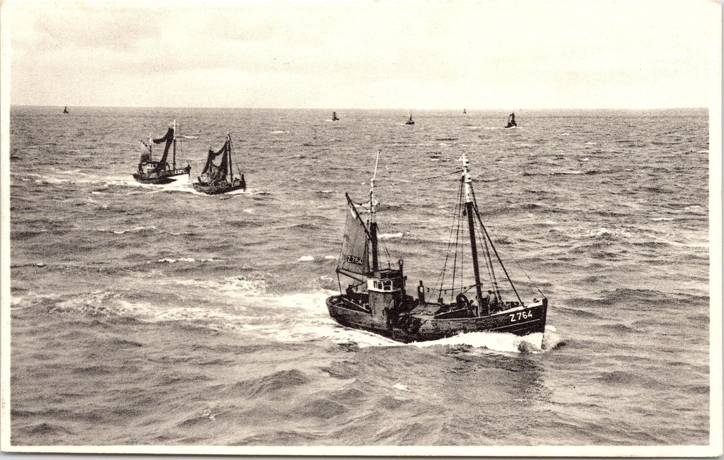 [J001 (11)] Zeebrugge - « De retour de la pêche. Retour de pêche. » - Bateaux de pêche revenant de la mer