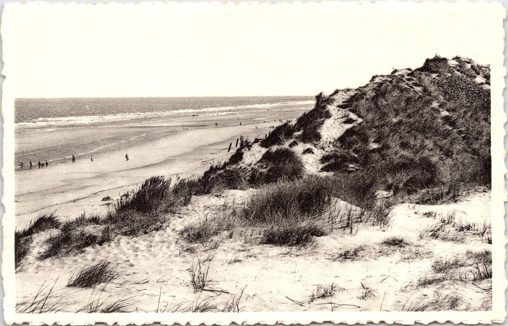 Koksijde - "Mer et Dunes" - Zee en duinen te Oostduinkerke