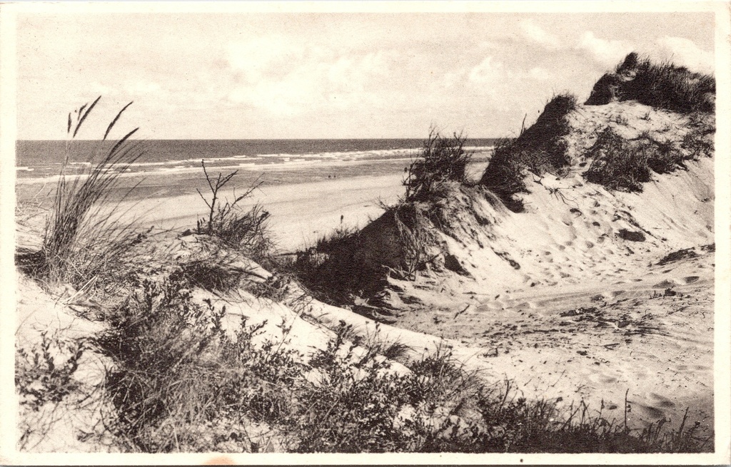 Koksijde - "Les dunes, ourlet de la mer" - Duinen aan de zee in Oostduinkerke
