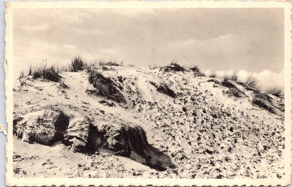 Koksijde – “La dune aride” – Schorre dune at Oostduinkerke