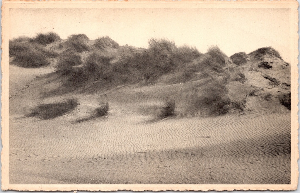 Koksijde – “Les dunes ridées par le vent” – Dunes rippled by the wind in Oostduinkerke