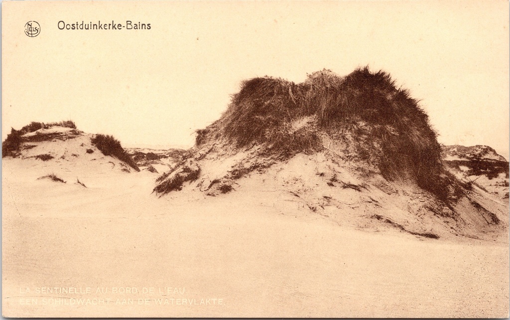 Koksijde – “La Sentinelle au bord de l’eau” – Overgrown sand dune on the waterfront in Oostduinkerke