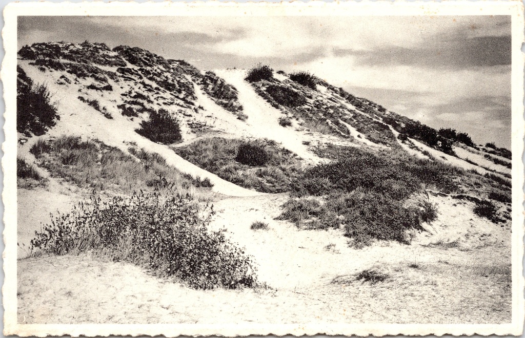 Koksijde – “Les dunes majestueuses” – The stately dunes of Oostduinkerke