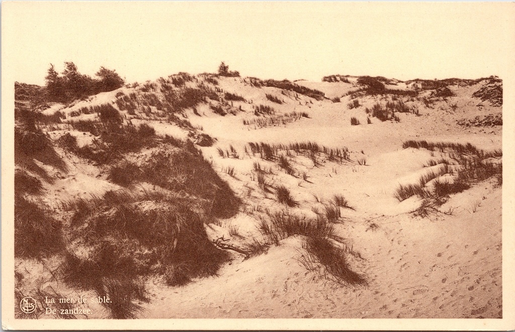 De Panne – “La mer de sable / De zandzee” – Dune landscape with marram grass