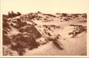 De Panne – “La mer de sable / De zandzee” – Dune landscape with marram grass