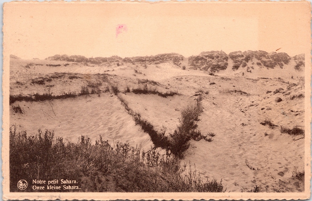 Koksijde – “Notre petit Sahara / Onze kleine Sahara” – Dunes of Oostduinkerke-Bad