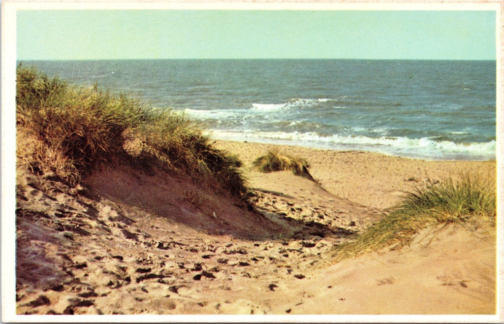 [J001 (61)] Belgische kust - "Dunes et mer" - Duinen en zee aan de Belgische kust