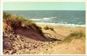 Côte belge - « Dunes et mer » - Dunes et mer sur la côte belge