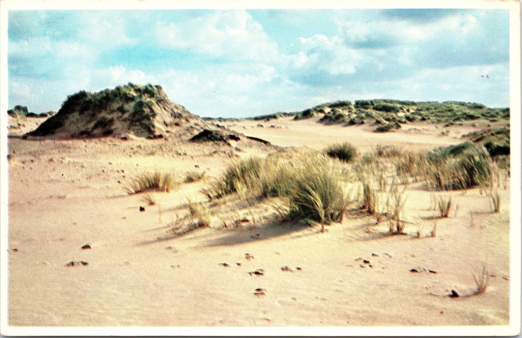 Koksijde – “Dunes et Oyats” – Dunes and marram grass at Oostduinkerke
