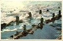 Koksijde – “Conquête de la mer” – Conquest of the Sea, a row of wooden posts in the surf at Oostduinkerke