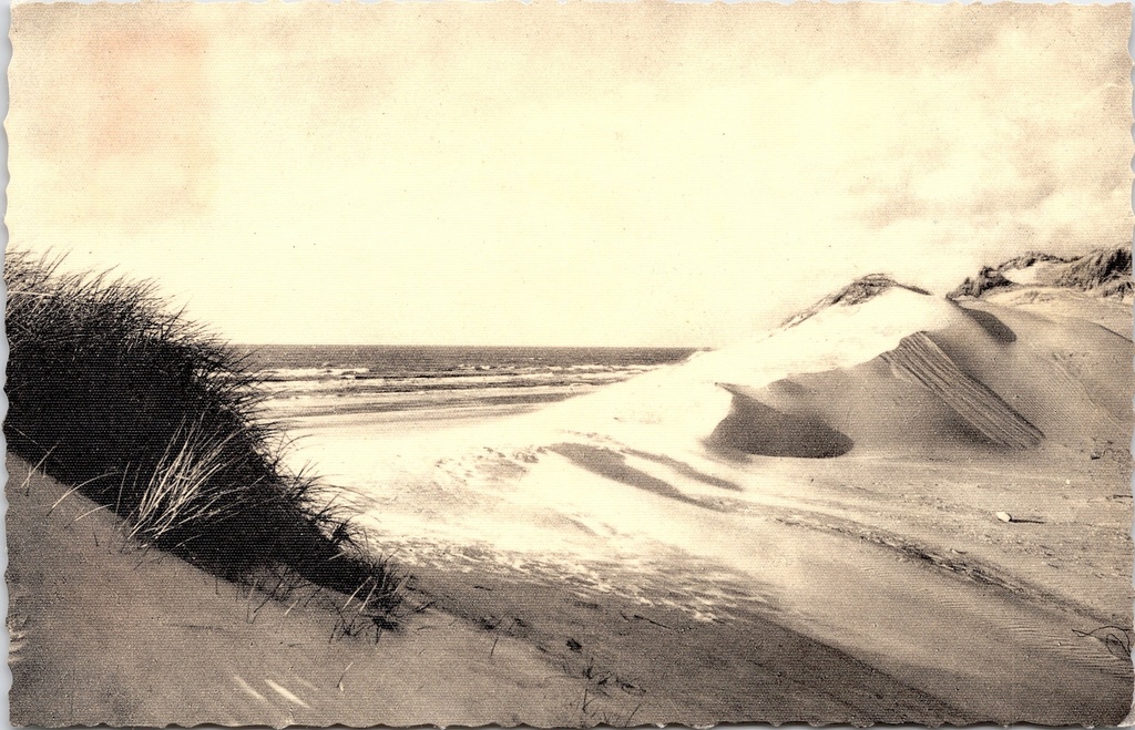 [J001 (91)] Middelkerke - « La mer et les dunes » - Mer et dunes à Westende