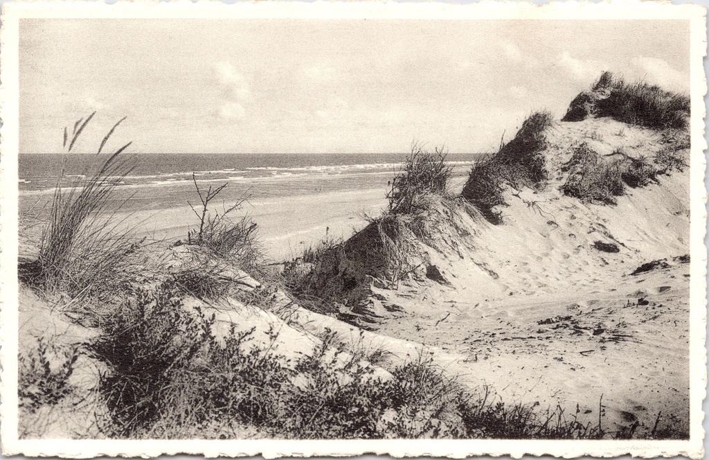 De Haan - "Den Haan a/Zee" - De mooie duinen aan zee