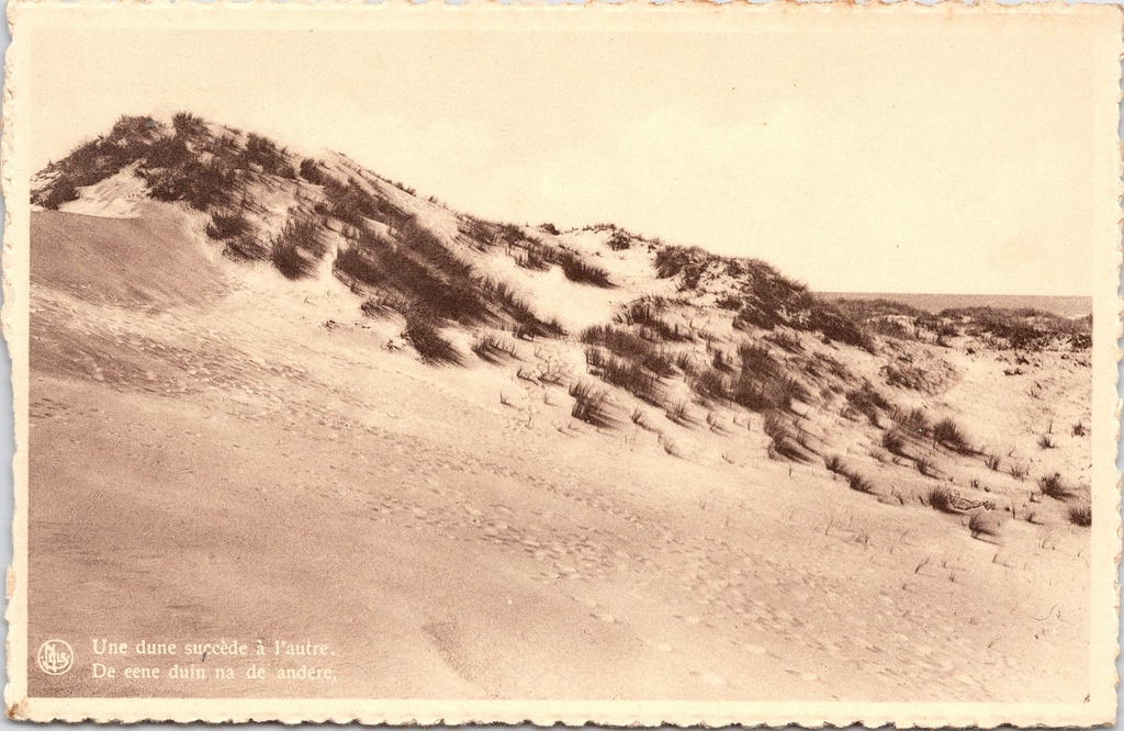 Koksijde - "Une dune succède à l'autre" - Duinen van Oostduinkerke